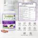 7 in 1 Elderberry with ZINC Vitamin C Vitamin D Echinacea Ginger & Indian Gooseberry (Amla).Premium Elderberry Capsules 90 ct All Natural Non-GMO Vegan No Rice Powder No-Gluten 90 Count (Pack of 1) - Buy Online on GoSupps.com