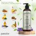 PURA D'OR Organic Massage Therapy Oil (16oz) - USDA Certified Blend of Almond, Apricot, Argan, Ginger, Jojoba, and Lavender Oils for Silky Skin - Body Moisturizer & Skin Lubricant - Buy Online on GoSupps.com