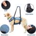 COODEO Adjustable Dog Lifting Harness - Breathable Support & Recreation Loops for XXL Pets - Ideal for Rehabilitation & Disabled Dogs - Buy Online on GoSupps.com
