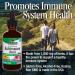 Echinacea Extract | Immune Support | Vegan, Gluten-Free, Non-GMO | 2oz - Nature's Answer - Buy Online on GoSupps.com