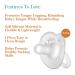 Evenflo Feeding Balance Plus Stage 1 Cylindrical Baby  Newborn and Infant Pacifier - Developed with Pediatric Feeding Specialists - 0 to 6 Months (Pack of 6) 6 Count (Pack of 1) Clear - Buy Online on GoSupps.com
