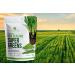 Antler Farms - 100% Pure Organic New Zealand Super Greens Powder  40 Servings  200g - Wheat Grass  Barley Grass  Chlorella  Spirulina - Vegan  Gluten Free  Chlorophyll Rich  for Energy and Detox - Buy Online on GoSupps.com