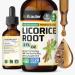 BIO KRAUTER Licorice Root Tincture - Licorice Root Extract for Digestive Support - Alcohol and Sugar Free - Vegan Drops 2 Fl.Oz. 2 Fl Oz (Pack of 1)