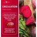 Buy Potent Garden Premium Organic Beet Root Tablets - 1350mg with Black Pepper for Heart Health Blood Pressure & Athletic Performance - 120ct - International Shipping Available - Buy Online on GoSupps.com