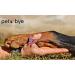 petbye XL Cardboard Animal Coffin Natural - 60 x 36 x 21 cm Pet Coffin for Funeral and Earth Funeral Pet Solid Cardboard Animal Coffin Extra Stable Gr. XL - Buy Online on GoSupps.com