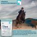 PURICA - L-Lysine Powder 800g - Lysine Amino Acid - Lysine for Horses Supplement - Horse Health - Lysine Supplements - Lysine Vegan Horse Powder - L-Lysine Essential Amino Acid - Buy Online on GoSupps.com