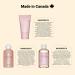 DANS UN JARDIN - Bodycare Set for Women Made in Canada - Raspberry Blossom Fragrance - Body Cream Bubble Bath & Shower Gel - Beauty Gift for Women - Gentle on the Skin - Vegan Products - 3 Pack - Buy Online on GoSupps.com