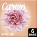 Caress Beauty Bar Soap: Daily Silk Extract & Floral Oil Essence, 6 Count - 22.5 oz - Buy Online on GoSupps.com