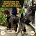 Oneigris Dog Dishes & Invictus Support Dishes - Safe & Adjustable Harnesses for Medium to Large Dogs | International Shipping - Buy Online on GoSupps.com