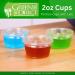Green Direct 2 oz Containers with Lids - Pack of 100 | Disposable Plastic Jello Shot Cups for Sauce, Souffle, Salad Dressing | Small Clear Condiment Cups for Portion Control - Buy Online on GoSupps.com