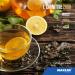 Maxler L-Carnitin Liquid 2000mg - Vegan Sugar-Free High-Dose L-Carnitine - Lemon Green Tea Flavor - 1000ml - Buy Online on GoSupps.com