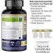 L-Citrullin DL Malat 200 Capsules | 500 mg Amino Acid with Vitamin B6 | Jarmor for Optimal Nitric Oxide & Arginine Support - Buy Internationally - Buy Online on GoSupps.com