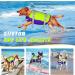 Siivton Dog Life Jacket - Ripstop Vest for Boating & Swimming | Adjustable & Reflective | Buoyancy Rescue Handle | X-Large - Buy Online on GoSupps.com