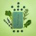 Greenfreshlab Thyme + Rosemary Soap Bar - 85% Organic | Natural Remedy for Itching & Problem Skin | Enriched with Patchouli Oil | Uplifting Aroma | Vegan & Cruelty Free - 4 oz - Buy Online on GoSupps.com