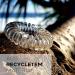 Reskthetic Black Spiral Hair Ties - Eco-Friendly Sustainable Hair Accessories for Girls & Women (4 Pack) - Buy Online on GoSupps.com