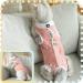 Clrybo Katzenbody - Professional Recovery Suit for Cats & Dogs | Post-Op Anti-Trim Clothing for Belly Wounds & Skin Diseases | Stylish Alpaca Design - Buy Online on GoSupps.com