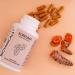 Biotanicals Curcuma Extract Capsules - 120 Vegan Capsules with Curcumin & Piperine - Pure Additive-Free Formula for Optimal Health - Buy Online on GoSupps.com