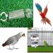 Automatic Bird Feed & Water Dispenser - 2 Piece Parrot Feeding Set | Warge Woods - Buy Online on GoSupps.com
