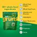 Gruns Complete Nutrition Sugar Free Variety Bundle, for Less! 28 Count Bags of Sugar Free Adult Super Green Vitamins, Kids Superfood Greens Gummies, and Nutrops Supplements. - Buy Online on GoSupps.com