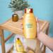 Aveeno Sunflower Oil Blend Shampoo for Dry Damaged Hair - 12 Fl Oz - Buy Online on GoSupps.com