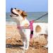 Eeyfarog No Pull Dog Harness for Small & Medium Dogs - Adjustable Reflective Safe - Pink - Perfect for Training & Walking - Buy Online on GoSupps.com