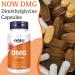 Now Foods DMG (Dimethylglycine) 125 mg 100 Vegan Capsules Lab Tested Glycine Gluten Free Soy Free Vegetarian - Buy Online on GoSupps.com