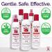 Fairy Tales Rosemary Repel Lice Shampoo 32 oz - 2 Pack | Daily Kids Shampoo for Lice Prevention - Buy Online on GoSupps.com