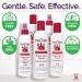 Fairy Tales Rosemary Repel Lice Prevention Trio: Kids Shampoo, Conditioner & Lice Spray - Buy Online on GoSupps.com