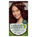 Clairol Natural Instincts Semi-Permanent No Ammonia Hair Dye 4RV Dark Burgundy 4RV Dark Burgundy 1 Count (Pack of 1)