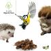 UGF Dried Grille 500ml Bucket - Ideal Grilling Insects & Year-Round Bird Turtle Hedgehog Lizard & Fish Feed | International Shipping Available - Buy Online on GoSupps.com