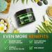 8 fl oz JUYIHEAL Natural Instant Hemp Cream - Maximum Strength Arnica MSM Turmeric Menthol & Aloe - Soothing Hemp Oil Gel for Pain Relief - Buy Online on GoSupps.com