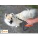 Premium Dog Leash for Large Dogs | Best Orange-Grey Leash for Your Best Friend - Shop Now! - Buy Online on GoSupps.com