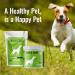Canine Matrix Skin & Coat Mushroom Powder 7.1 oz | Natural Pet Supplement for Healthy Fur - Buy Online on GoSupps.com