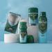 Mitchum Men Triple Odor Defense Deodorant Stick & Antiperspirant 41g - Clean Control - Dermatologist Tested - Pack of 1 - Buy Online on GoSupps.com