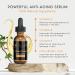 All Natural Facial Serum with Ferulic & Hyaluronic Acid - Vitamin C for Acne Scars & Dark Spots | ML Delicate Beauty - 30ml Face Serum for All Skin Types - Buy Online on GoSupps.com