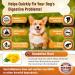 GastroBalance Dog Constipation treatment 60 laxative soft chews Natural dog stool softener (Bacon flavour) - Buy Online on GoSupps.com