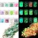 AOOWU Chunky Glitter 12 Colors - Luminous Festival Glitter for Face, Body, Eyes, Nails - Holographic Cosmetic Glitter - DIY Art - Buy Online on GoSupps.com