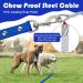 Waterproof Dog Drag Line | Chew-Proof Tie-Out Leash 3-30m | Robust Training Line for All Dog Sizes 3m Blue - Buy Online on GoSupps.com