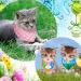 Easter Dog Bandana Set - 20 Pcs Washable Triangle Bibs for Dogs & Cats - Rabbit, Egg, Carrot Design - Adjustable & Washable Pet Scarfs - Easter Pet Accessories - Buy Online on GoSupps.com