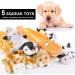 Shop Citamama Squeaky Dog Toy Set - 5 Plush Interactive Training Toys for Small to Medium Dogs | No Fill Eco-Friendly Pet Gear - Buy Online on GoSupps.com