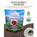 Subtle Earth Organic Medium-Dark Roast Whole Bean Coffee - 2lb Bag | 100% Arabica Beans, Low Acidity, Non-GMO - Buy Online on GoSupps.com
