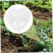 OSALADI Plant Plastic Fruit Clear Fruit Yard Fruit Fruit Forming Heart-Shaped Pumpkin - Buy Online on GoSupps.com
