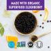 New Chapter Vitamin C + Elderberry Immune Defense Supplement | Organic Herbs, Non-GMO, Gluten Free | 30 ct - Buy Online on GoSupps.com