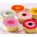 Pre-Cut Beautiful Gerbera Daisy A Edible Wafer Paper Flowers Cupcake Toppers Cake Decorations Birthday Party (12) - Buy Online on GoSupps.com