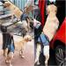 Buy Dotoner Dog Lifting Harness - Support for Injured Dogs | Soft Loop for Small to Large Breeds | Adjustable & Comfortable | Blue L Size - Buy Online on GoSupps.com