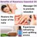 Organic Rosemary Oil for Hair Growth - 100% Pure Essential Oil with Hair Roller | Non-Greasy Hair Growth Serum for Women & Men - Eyebrow, Eyelash and Scalp Care - Buy Online on GoSupps.com
