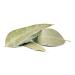 The Spice Way Bay Leaves - 0.75 oz | Premium Whole Bay Leaf for Soups, Stews, and Vegetables - Buy Online on GoSupps.com