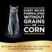 Sheba Perfect Portions Patأ© Wet Cat Food - 24 Twin-Packs for Easy Feeding - Buy Online on GoSupps.com