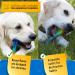 Extra Strong Indestructible Dog Toys for Large Dogs - Bacon Flavoured Chew Toy for Extreme Chewers and Puppies - Buy Online on GoSupps.com