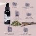 ne & no Gift Set: Premium Catnip Mix with Cat's Mint Matatabi Sticks & Valerian Spray - Airtight & Lovingly Packaged for Happy Cats - Buy Online on GoSupps.com